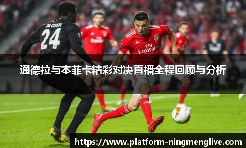 柠檬体育